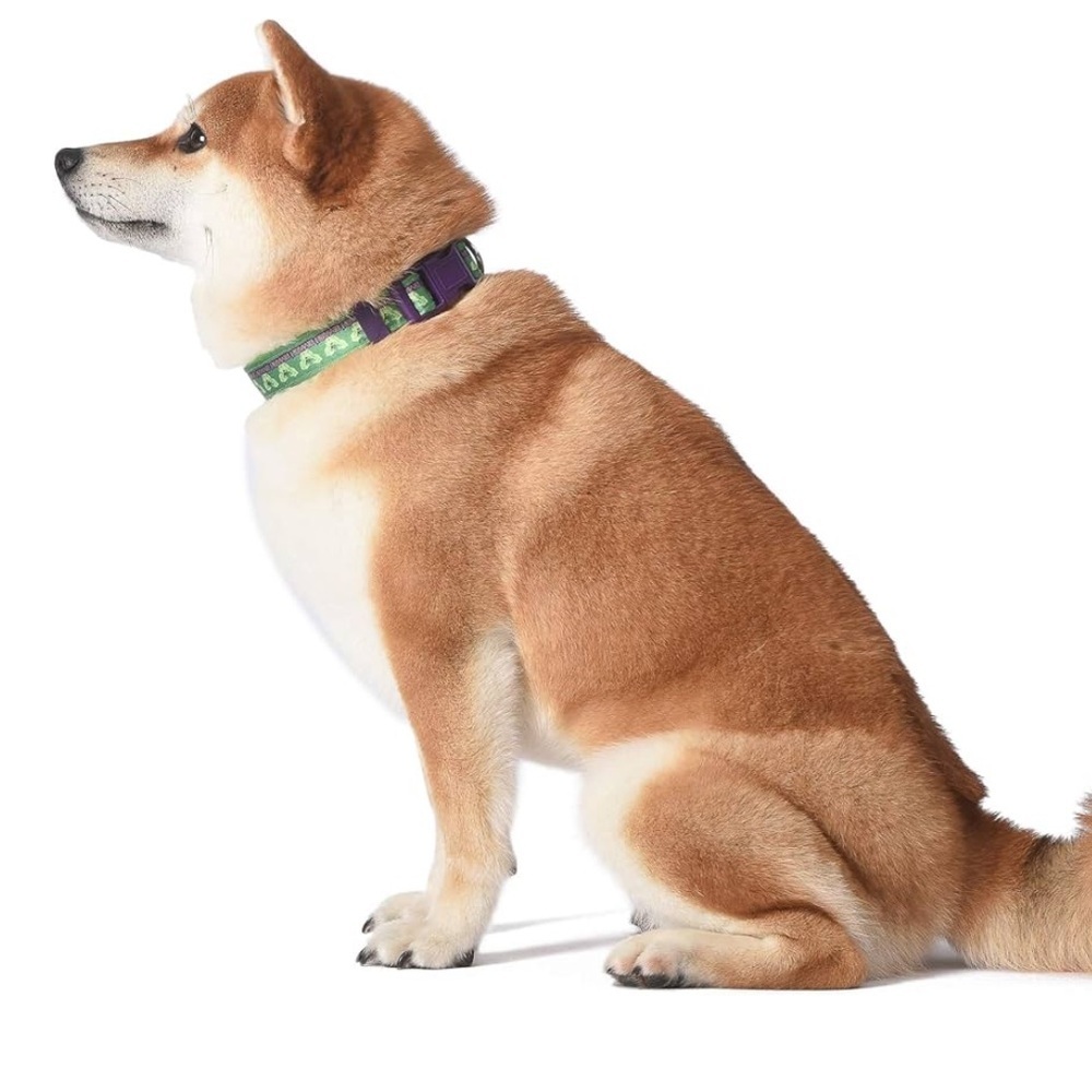🆕 Marvel Avengers The Hulk Dog Collar, Small